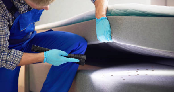 Best Cockroach Control Services  in Huntington Station, NY