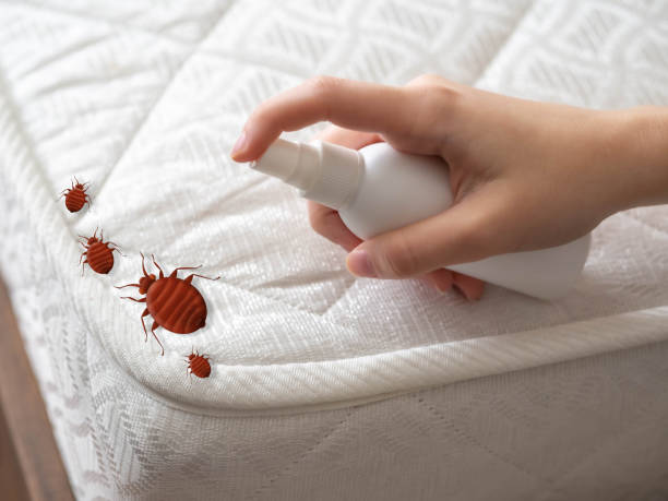 Insect Control in Huntington Station, NY
