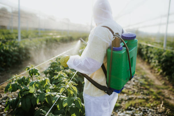 Best Best Pest Control Companies  in Huntington Station, NY